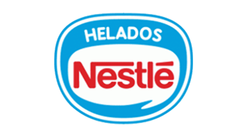 logo3 netsle