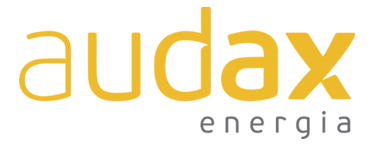 logo8 audax